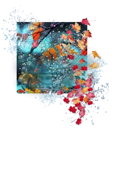 Raindrops and leaves