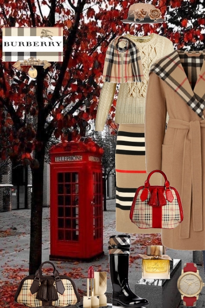 CS - 411 - burberry