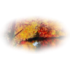 Autumn - Nature - 