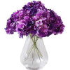 Centerpiece - Plants - 