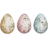Egg - Illustrations - 