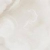 Fashion Background - Background - 
