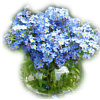 Flowers - Illustrations - 
