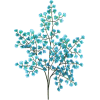 Plant - Plants - 