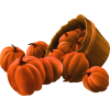 Pumpkins - Nature - 