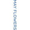 Text - Texts - 