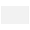 Transparency - Texts - 