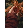 autumn - Nature - 