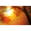 background - Background - 