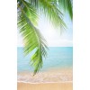 beach background - Background - 