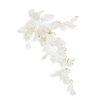 Biljke - Plants - 