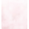 cores - Background - 
