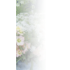 edge - Nature - 