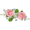 flowers - Plants - 