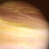 Background Brown Casual - Background - 