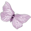 Butterfly - Animals - 