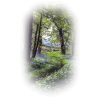 nature - Nature - 