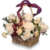 Plants Beige - Plants - 