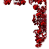 Frame - Frames - 