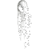 text - Illustrations - 